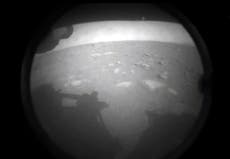 Perseverance: cómo ver los movimientos del rover de la NASA en Marte