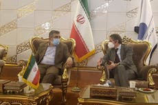 Jefe del organismo de control nuclear de la ONU llegó a Irán antes de la fecha límite