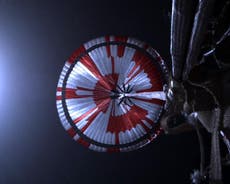 Redes sociales descifran código secreto escondido en el paracaídas del Perseverance