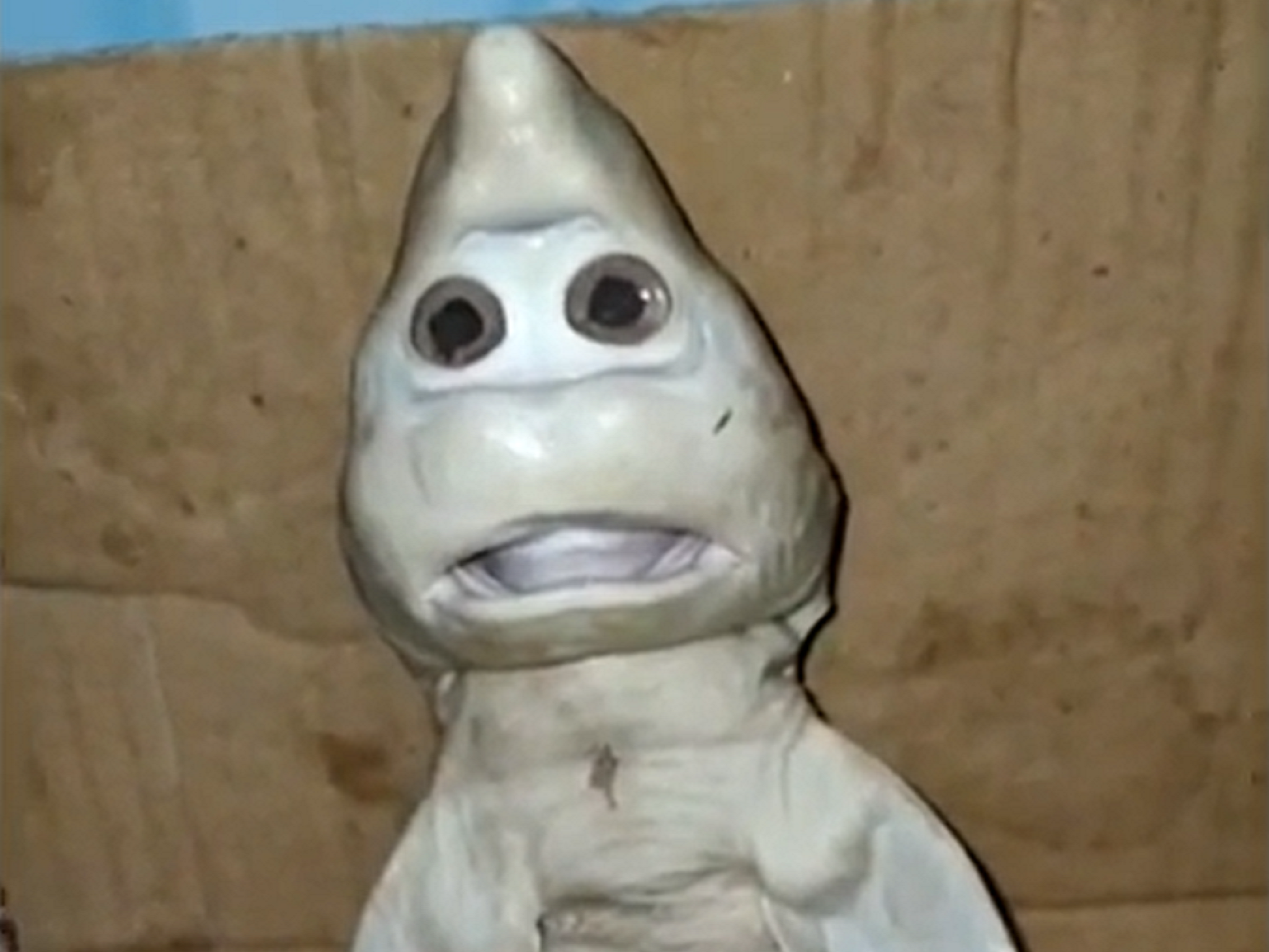 Tiburón bebé mutante es capturado por pescador