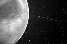 NASA comparte asombrosa imagen de Venus que incluye un “descubrimiento sorprendente”