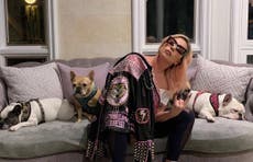 Bulldogs de Lady Gaga regresaron ilesos tras el secuestro