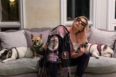 Lady Gaga no fue blanco específico del robo de sus bulldogs franceses, dice la policía