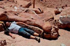 Dinosaurio encontrado en Argentina podría ser el titanosaurio más antiguo jamás descubierto