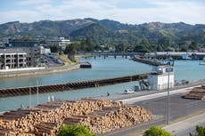 Terremoto en Nueva Zelanda: un temblor de 7,3 grados genera una alerta de tsunami