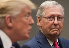 Trump intenta echar la culpa de la derrota de Georgia a otros republicanos y arremete contra el WSJ 