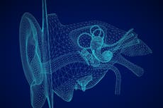 Google quiere dar a la gente una audición sobrehumana con un dispositivo portátil secreto llamado “Wolverine”