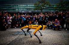 El perro robot Spot fue visto explorando los restos del cohete SN10 explotado de SpaceX