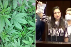 “¿Eso es lo que quieren?”: Brownies especiales y churros de marihuana se hacen tendencia tras comentario de diputada