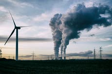 Las cero emisiones netas de carbono no son suficientes para salvar el planeta, dice la Agencia de Medio Ambiente