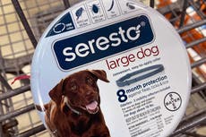 El Congreso solicita retirar del mercado collar antipulgas relacionado con muerte de mil 700 mascotas