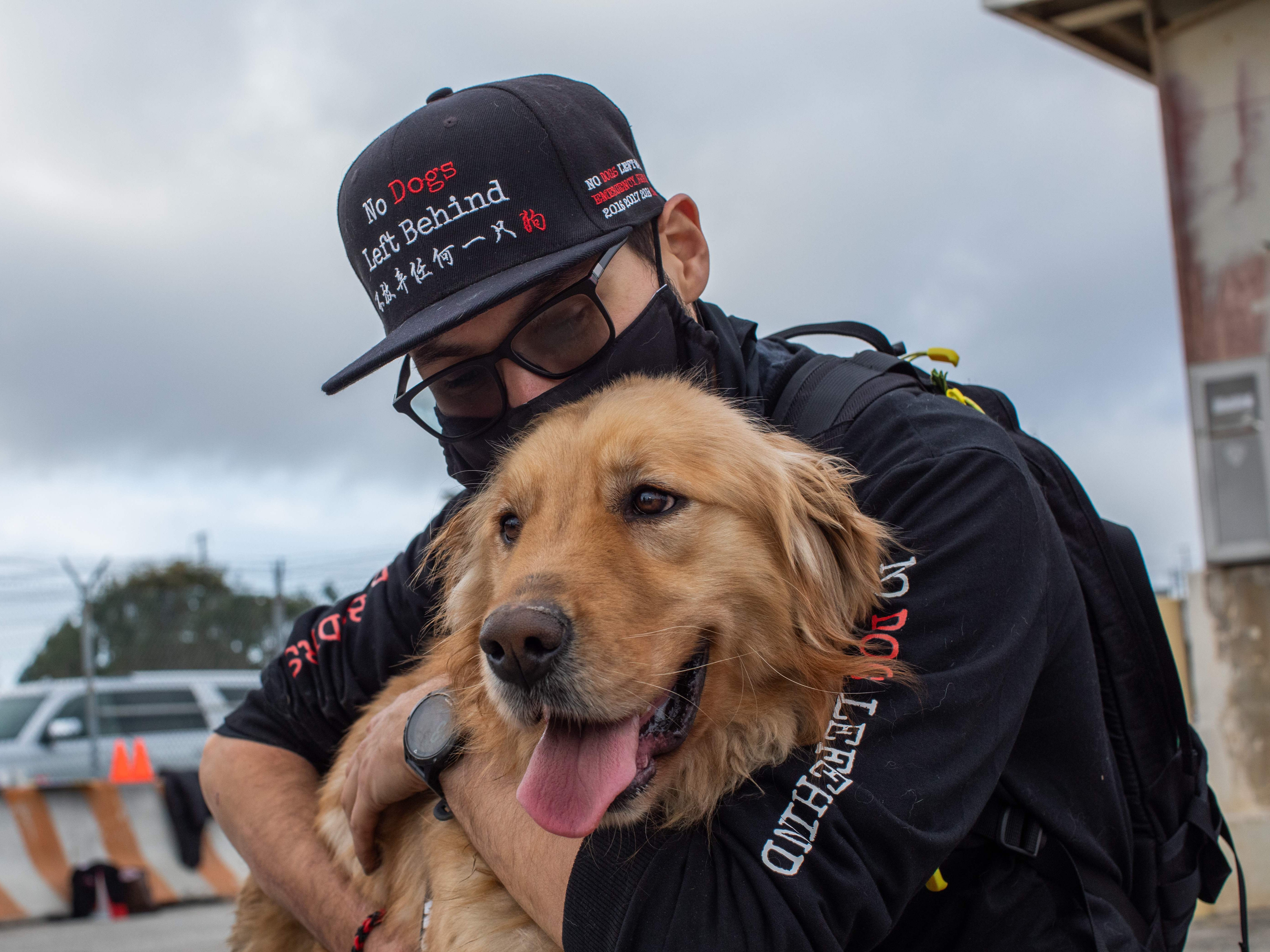 Los Ángeles se convierte en una ciudad “sin matanzas”; cientos de mascotas tienen un hogar