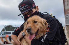 Los Ángeles se convierte en una ciudad “sin matanzas”; cientos de mascotas tienen un hogar