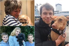 “Es como convertirse en padre sin clases prenatales”: un año con nuestras mascotas pandémicas