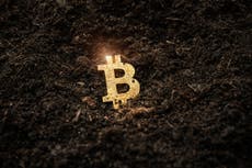 La “minería” del Bitcoin es desastrosa para el medio ambiente: es hora de que los gobiernos intervengan