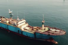 Seaspiracy: los espectadores reaccionan al controvertido documental de Netflix sobre la industria pesquera