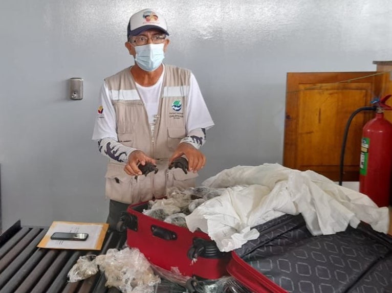 <p>Un policía fue detenido por su presunta participación en este intento de tráfico de animales silvestres.</p>