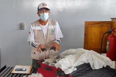 Ecuador: Hallan 185 tortugas en una maleta en el aeropuerto de Galápagos