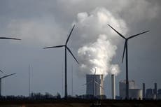 Economistas aseguran que beneficios de llegar a cero neto para 2050 superan los costos