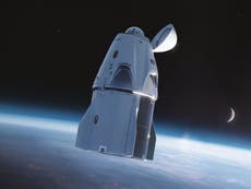 Elon Musk revela nuevo diseño de la cápsula Dragon; permitirá a astronautas asomar la cabeza al espacio