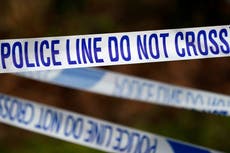 Niño de siete años es acusado de violación en Nueva York, según informe