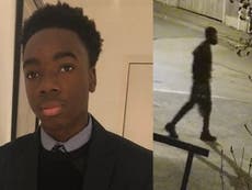 Caso Richard Okorogheye: Encuentran cuerpo en Epping Forest mientras buscan a estudiante desaparecido