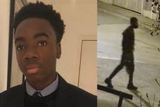 Caso Richard Okorogheye: Encuentran cuerpo en Epping Forest mientras buscan a estudiante desaparecido