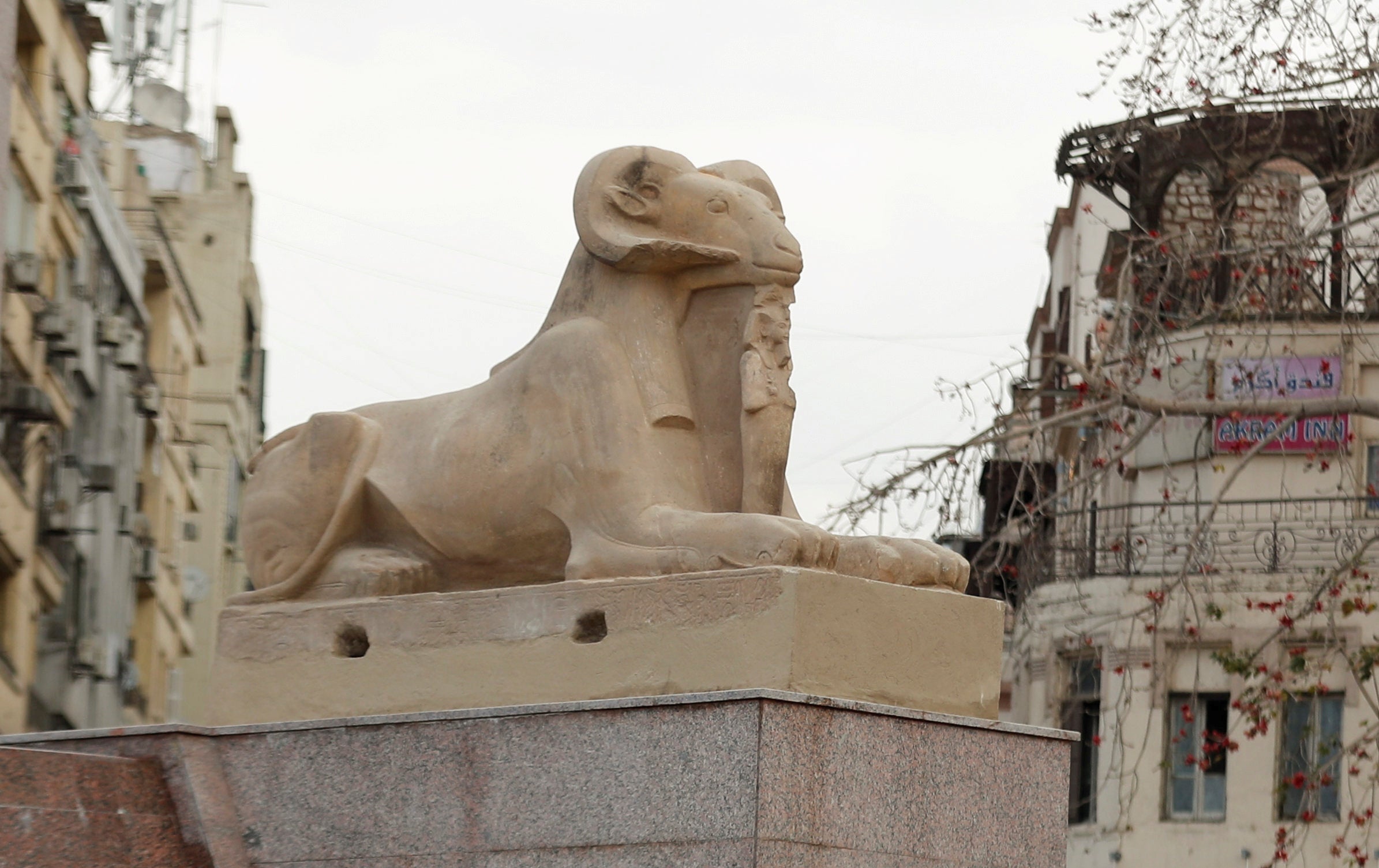 Un carnero faraónico tras la renovación de la plaza Tahrir