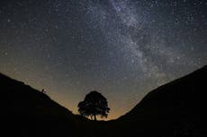 Ráfagas de radio son “más profundas” y vienen de partes distantes del universo, revela estudio