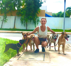 Cómo los trabajadores remotos están ayudando con el problema de los perros callejeros en México