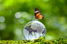 ¿Por qué se celebra el 22 de abril el Día de la Tierra?