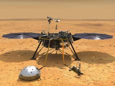 Módulo InSight, que aterrizó en Marte podría “morir”, dice la NASA