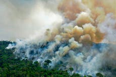 Brasil advierte a Biden que no confíe en Bolsonaro, ya que exige efectivo a cambio de acción climática