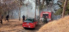 México: Incendio forestal consume una sección del Bosque de Chapultepec