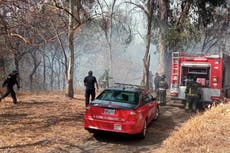 México: Incendio forestal consume una sección del Bosque de Chapultepec