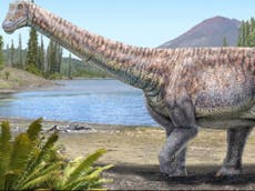 Descubren una nueve especie de dinosaurio en Chile