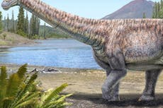 Descubren una nueve especie de dinosaurio en Chile