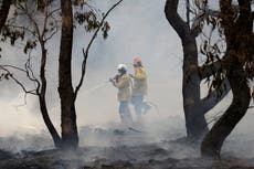 Desinformación sobre cambio climático se adapta a realidad