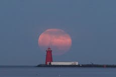 Superluna rosa: Dónde y a qué hora ver la luna llena más brillante de 2021 hasta ahora