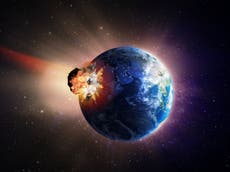 Encuentran origen del asteroide que mató a los dinosaurios, y otro podría  estar en camino | Independent Español