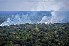 Las emisiones de carbono superan los niveles informados por los países, según estudio