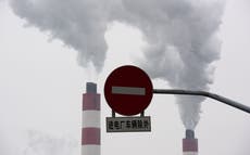 Dejar la energía del carbón contrarrestaría el cambio climático: el jefe de la Agencia Internacional de Energía