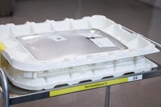 Pfizer-BioNTech piden a UE autorización de vacuna para niños