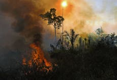 La Amazonia de Brasil se ha “volteado” y ahora emite más contaminación de carbono de lo que almacena