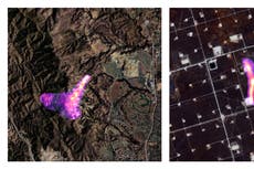 ONU: esencial reducir las emisiones de metano