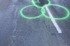 Nueva Zelanda: Hombre que grafitea penes en baches podría enfrentar juicio