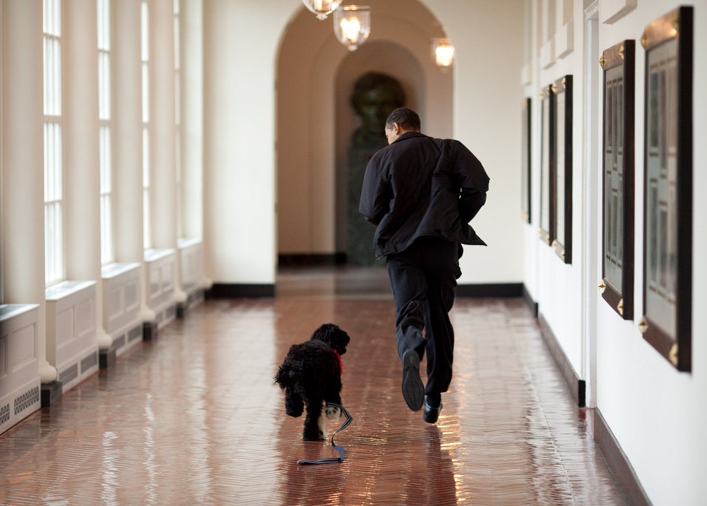 El presidente Barack Obama corrió por un pasillo del Ala Este junto a su entonces cachorro Bo en 2009, y una década después, Melania Trump presentó allí los adornos navideños
