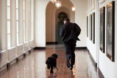 “Hoy nuestra familia perdió a un verdadero amigo”: Barack Obama anuncia la muerte del perro Bo