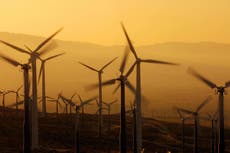 Trump vuelve a atacar la energía eólica y critica el megaproyecto de Biden en Massachusetts