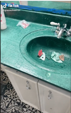 Se vuelve viral en TikTok la “Picassso del bricolaje” luego de desastrosa renovación de baño